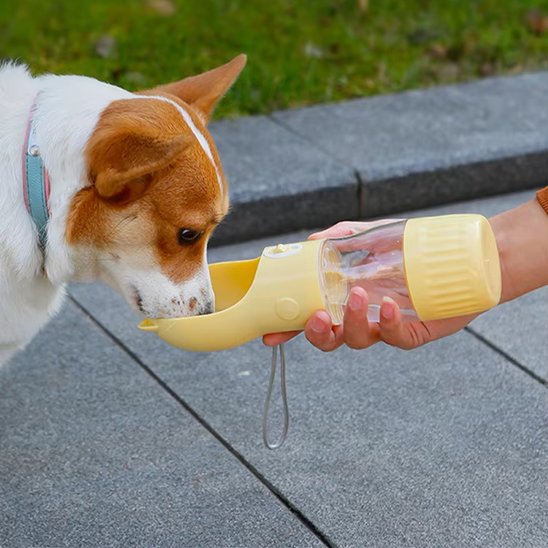 Gourde pour chien