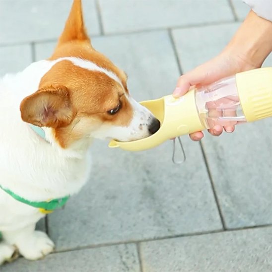 Gourde pour chien