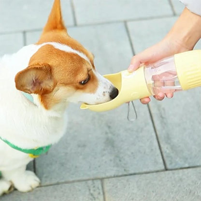 Gourde pour chien