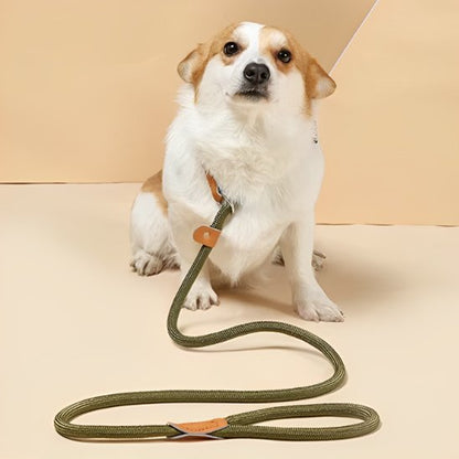 Laisse chien