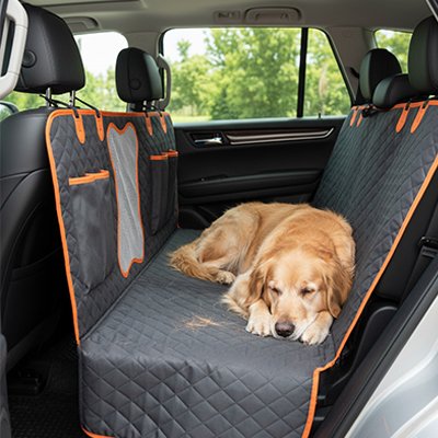 Protection chien voiture